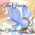 The Snare By James Stephens